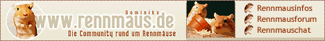 rennmaus.de