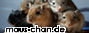 klein_maus-chan